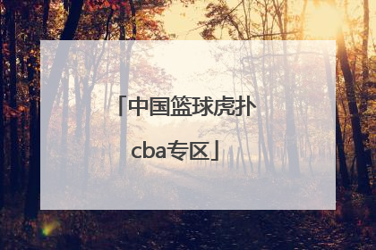「中国篮球虎扑cba专区」虎扑篮球nba勇士专区