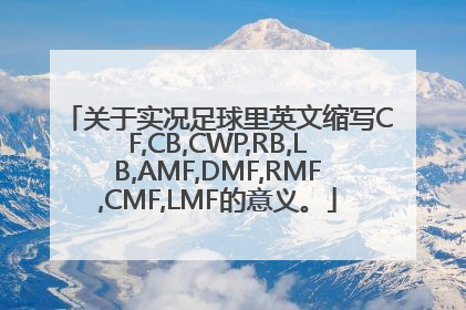 关于实况足球里英文缩写CF,CB,CWP,RB,LB,AMF,DMF,RMF,CMF,LMF的意义。