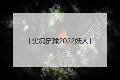 实况足球2022妖人「实况足球2022妖人边锋」