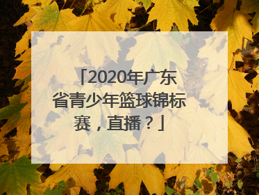 2020年广东省青少年篮球锦标赛，直播？