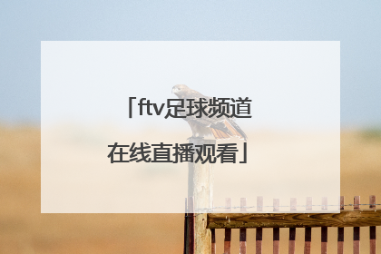 「ftv足球频道在线直播观看」内蒙古足球频道在线直播