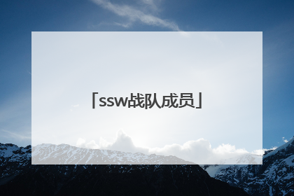 「ssw战队成员」SSW战队成员